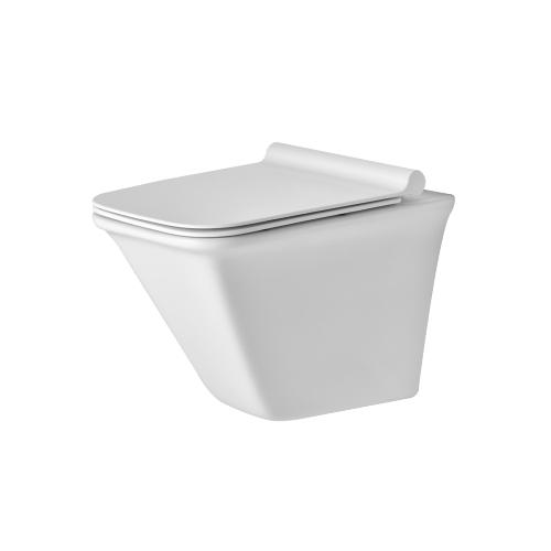 Western toilet (wall-mounted)